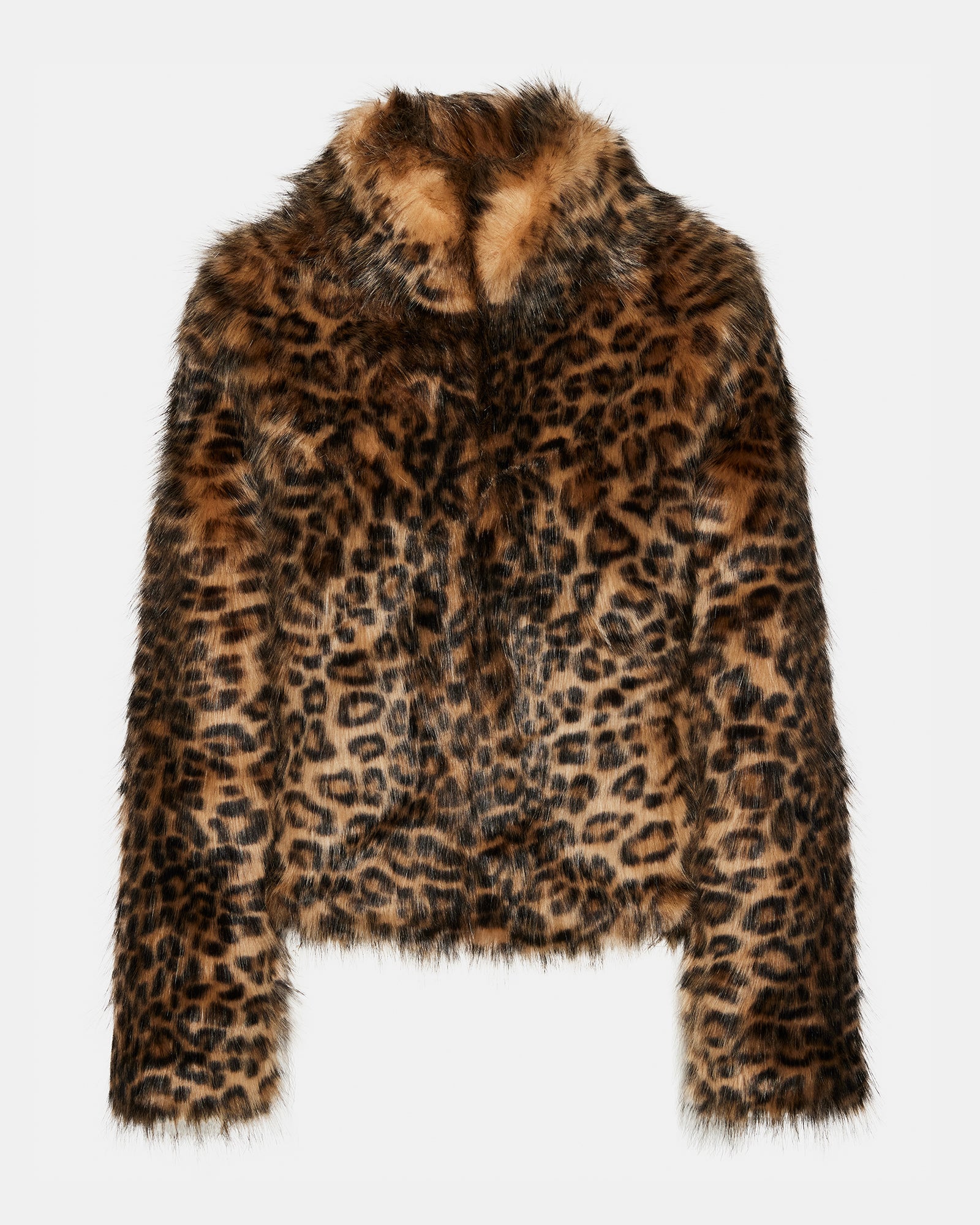 WILD CAT JACKET LEOPARD - Image 6