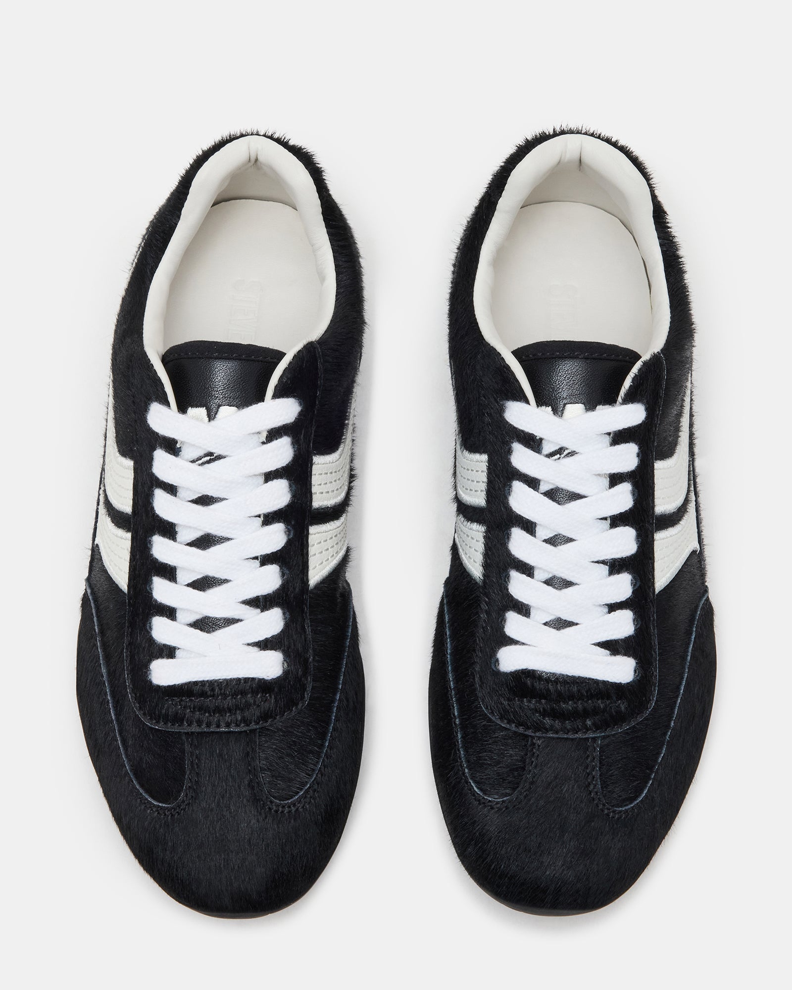 DOBSON BLACK MULTI - Image 4