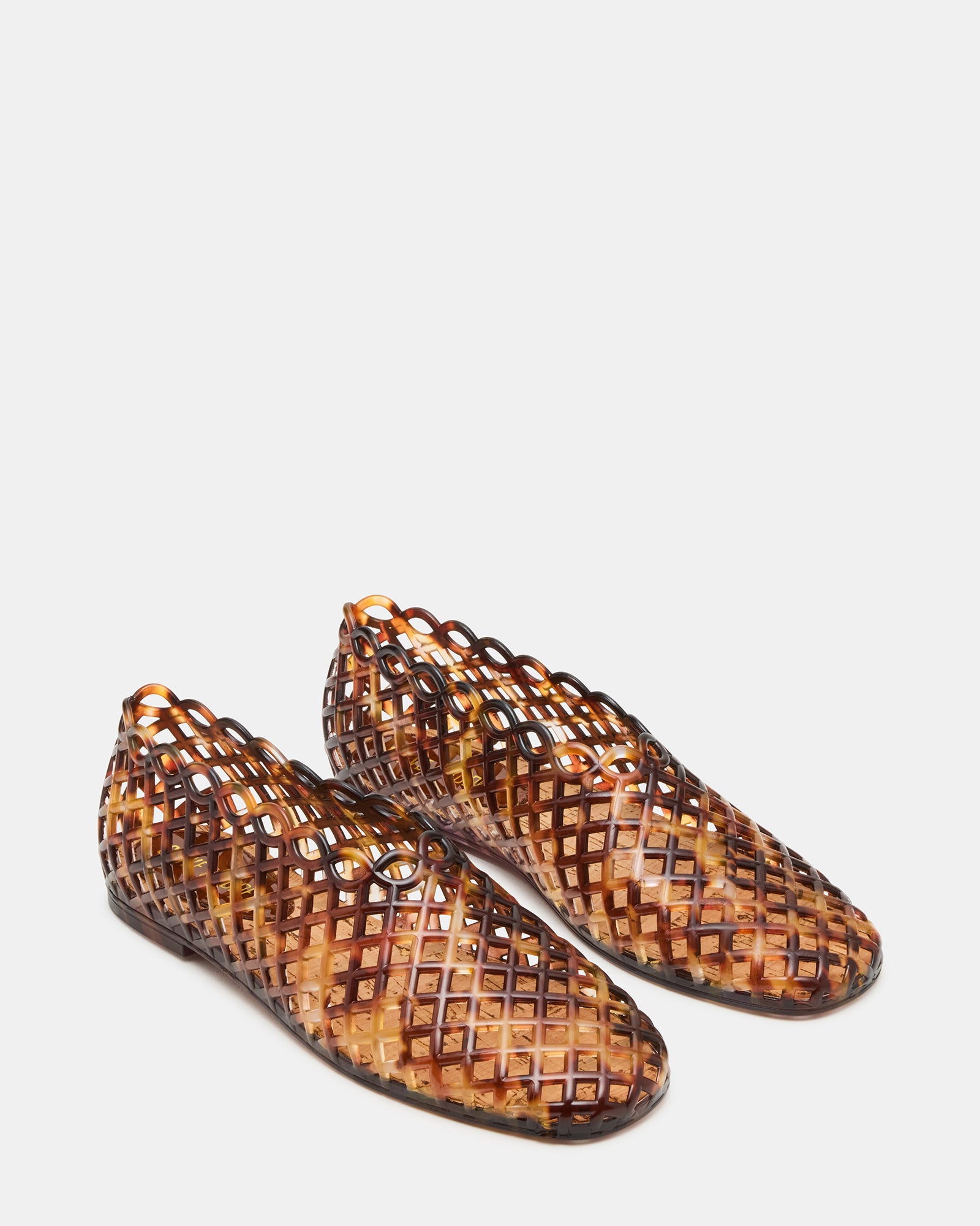 GROVE TORTOISE - Image 2