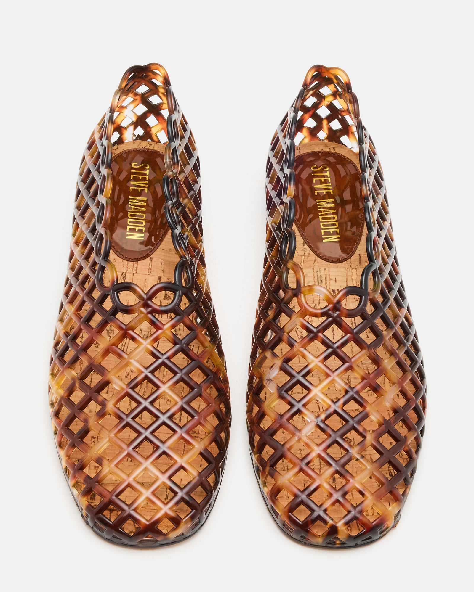 GROVE TORTOISE - Image 4