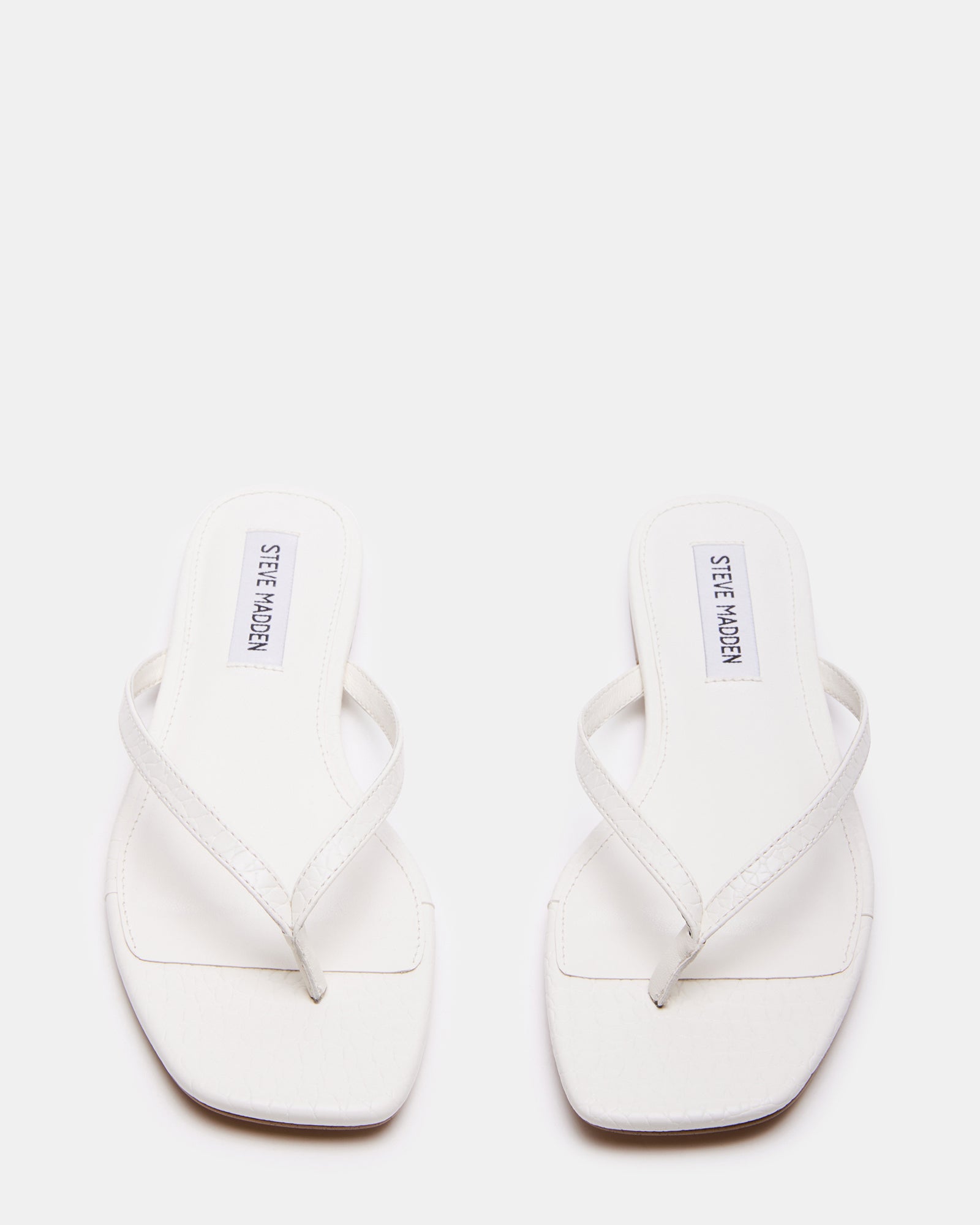 MARNIE BONE - Image 5