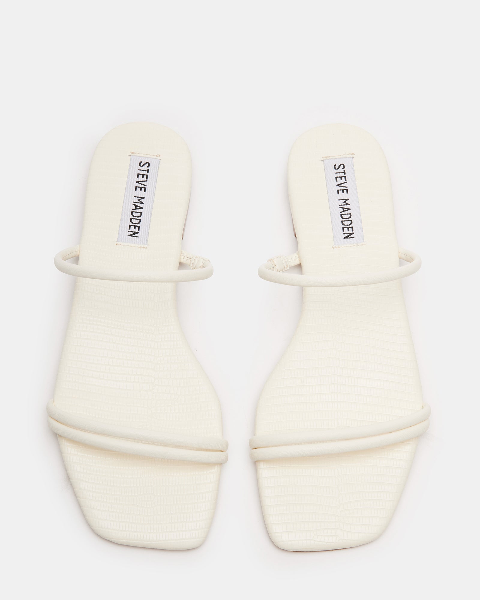 TAHITI BONE - Image 5